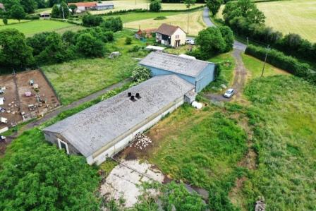 Éleveur canard Auvergne